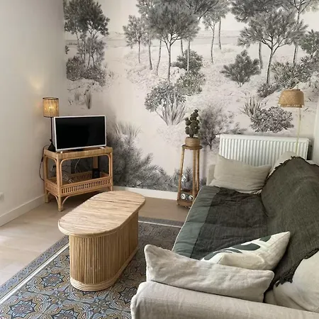 3 Pieces Avec Grande Terrasse, Entre Port Et Hyper Centre