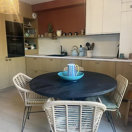 Elegant T3 Avec Terrasse Et Parking Prive A Apartament Arcachon