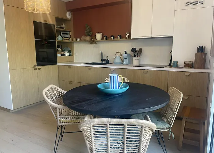 3 Pièces Avec Grande Terrasse, Entre Port Et Hyper Centre Appartement Arcachon
